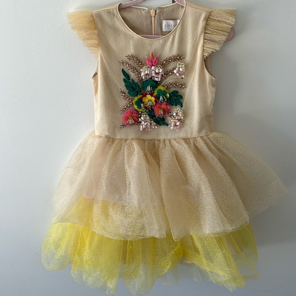 Absolutly Stunning  EIRENE Dress 🌟🌟🌟